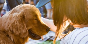 Attract Millennial Workers In Your Company By Introducing Pet-Friendly Policies