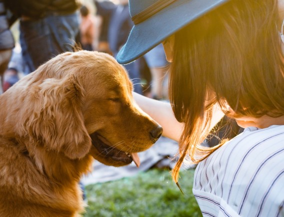 Attract Millennial Workers In Your Company By Introducing Pet-Friendly Policies