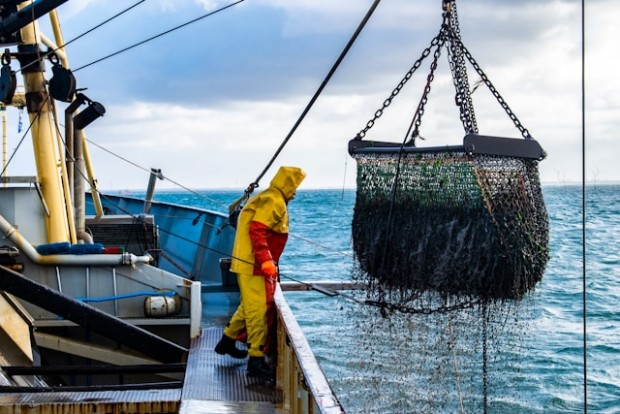 Fishing Industry