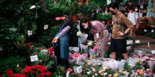 Flower Shop