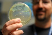 Lead Food Lab Scientist Skip Gossack holds up a petri dish with the visible Listeria colonies from the Holly cantaloupe