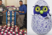 'Hatchimals': Christmas Blockbuster Toy This Year Equipped With Canadian Innovation